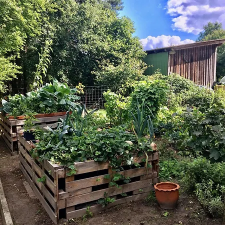 Gemuetliche Reetdachkate An Der Elbe Appartement