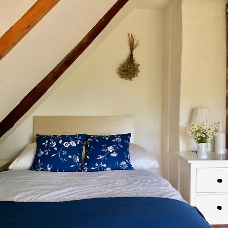 Appartement Gemuetliche Reetdachkate An Der Elbe