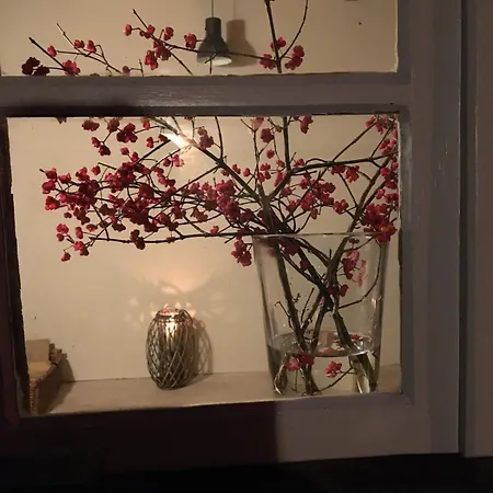 Appartement Gemuetliche Reetdachkate An Der Elbe *