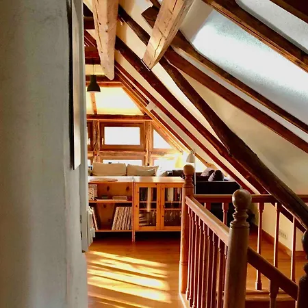 Gemuetliche Reetdachkate An Der Elbe Appartement Hittbergen