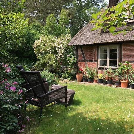 Appartement Gemuetliche Reetdachkate An Der Elbe Hittbergen