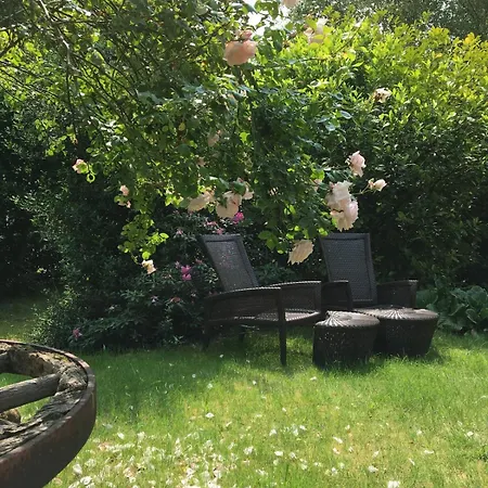 Gemuetliche Reetdachkate An Der Elbe