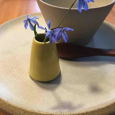 Gemuetliche Reetdachkate An Der Elbe Appartement