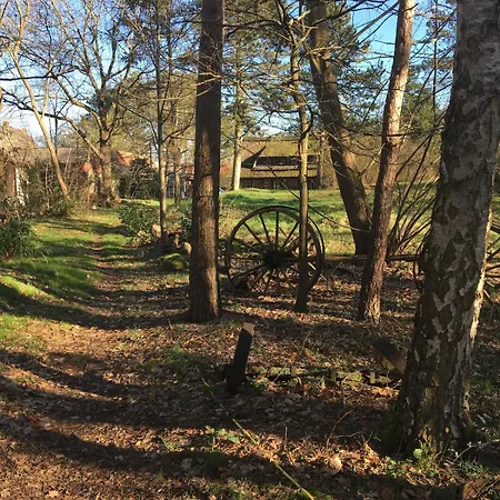 Gemuetliche Reetdachkate An Der Elbe * Hittbergen