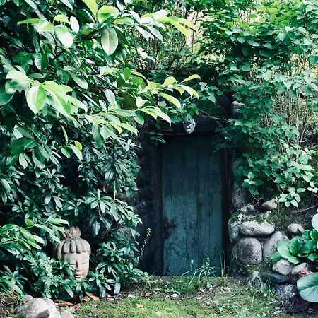 Appartement Gemuetliche Reetdachkate An Der Elbe