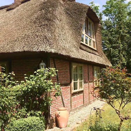 Appartement Gemuetliche Reetdachkate An Der Elbe *