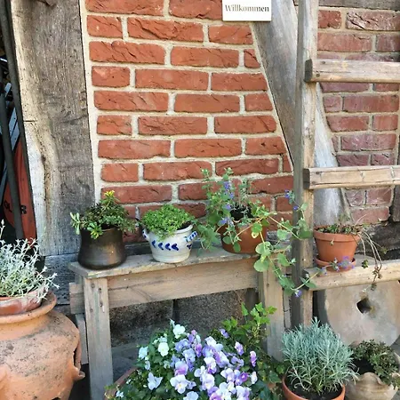 Gemuetliche Reetdachkate An Der Elbe * Hittbergen