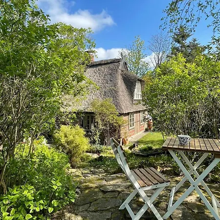 Appartement Gemuetliche Reetdachkate An Der Elbe