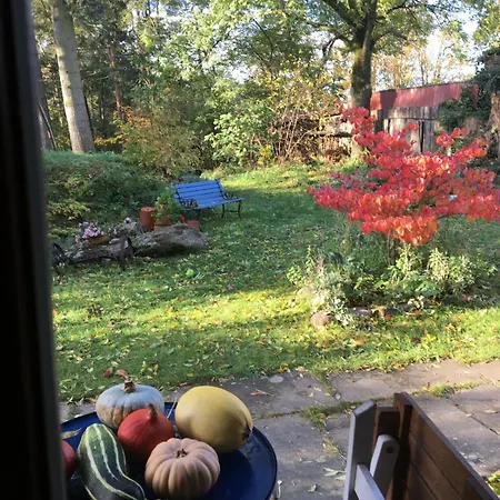 Gemuetliche Reetdachkate An Der Elbe Appartement