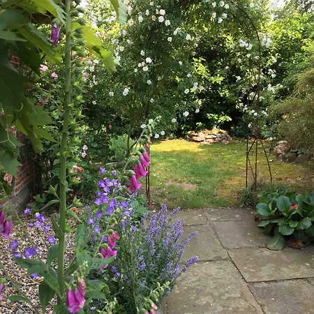 Gemuetliche Reetdachkate An Der Elbe Appartement