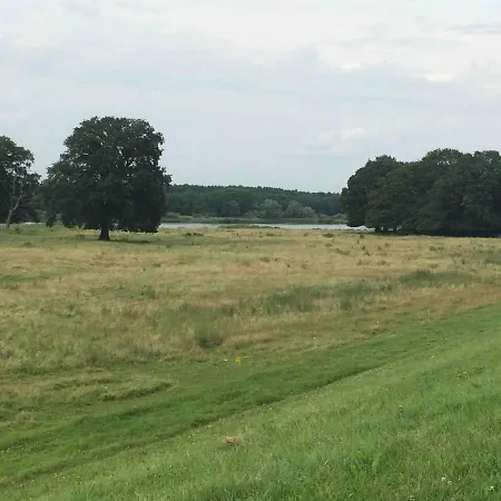 Gemuetliche Reetdachkate An Der Elbe *