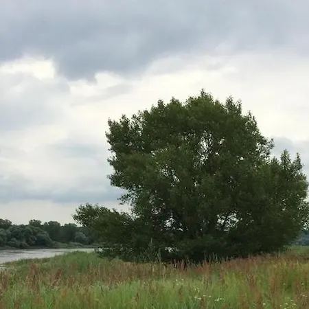 Gemuetliche Reetdachkate An Der Elbe Hittbergen