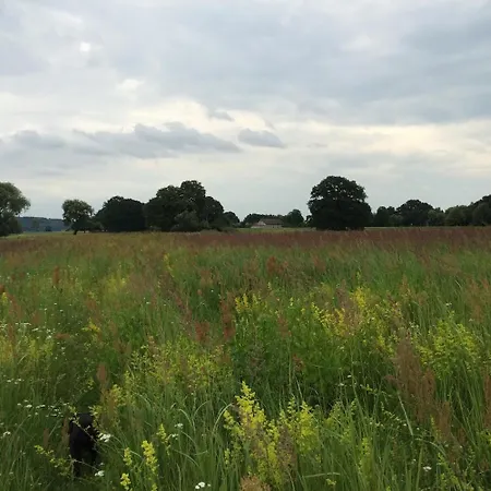 Gemuetliche Reetdachkate An Der Elbe Appartement *