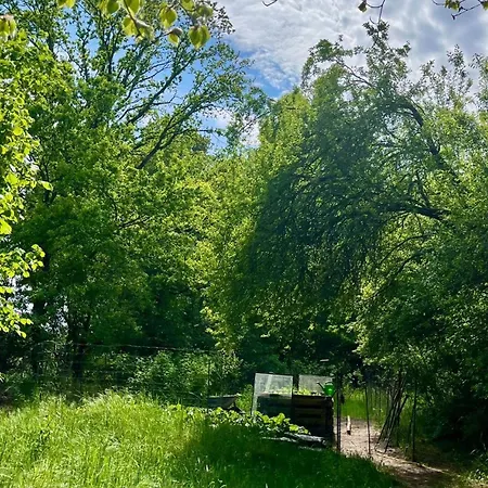 Gemuetliche Reetdachkate An Der Elbe