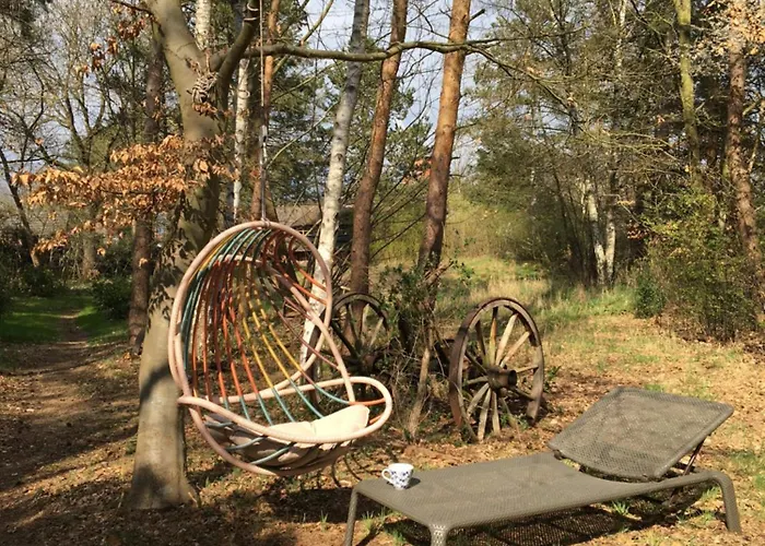 Gemuetliche Reetdachkate An Der Elbe *