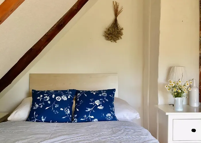 Διαμέρισμα Gemuetliche Reetdachkate An Der Elbe