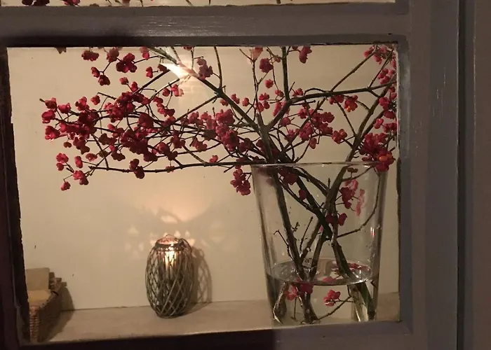 Διαμέρισμα Gemuetliche Reetdachkate An Der Elbe *