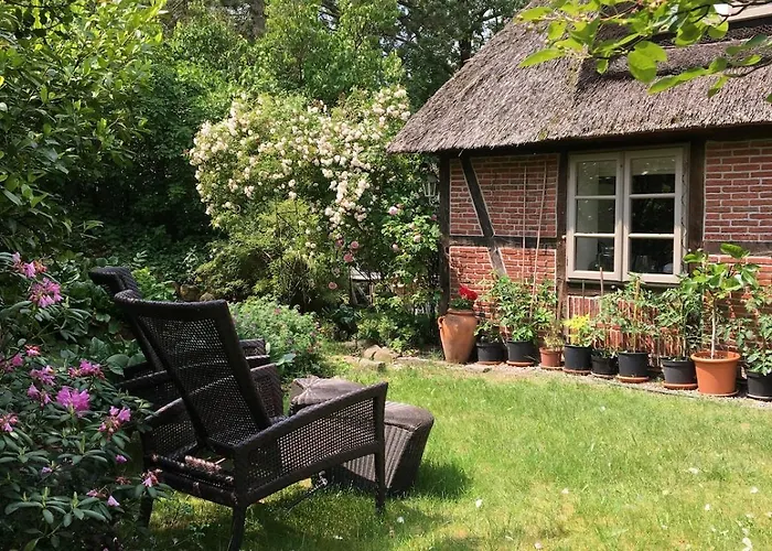 Διαμέρισμα Gemuetliche Reetdachkate An Der Elbe Hittbergen