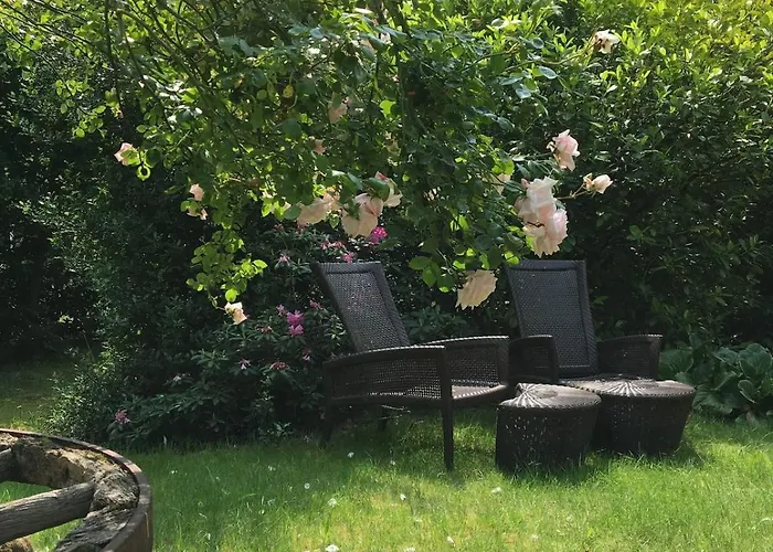 Gemuetliche Reetdachkate An Der Elbe