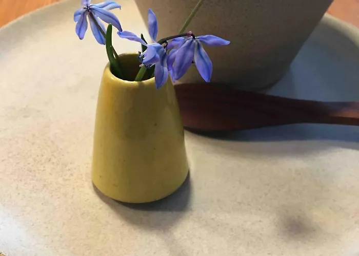 Gemuetliche Reetdachkate An Der Elbe Διαμέρισμα