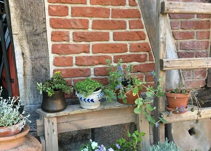 Gemuetliche Reetdachkate An Der Elbe * Hittbergen