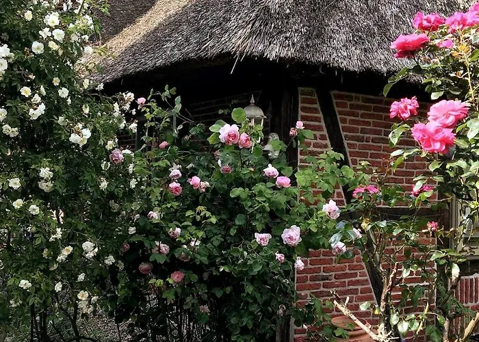 Διαμέρισμα Gemuetliche Reetdachkate An Der Elbe *