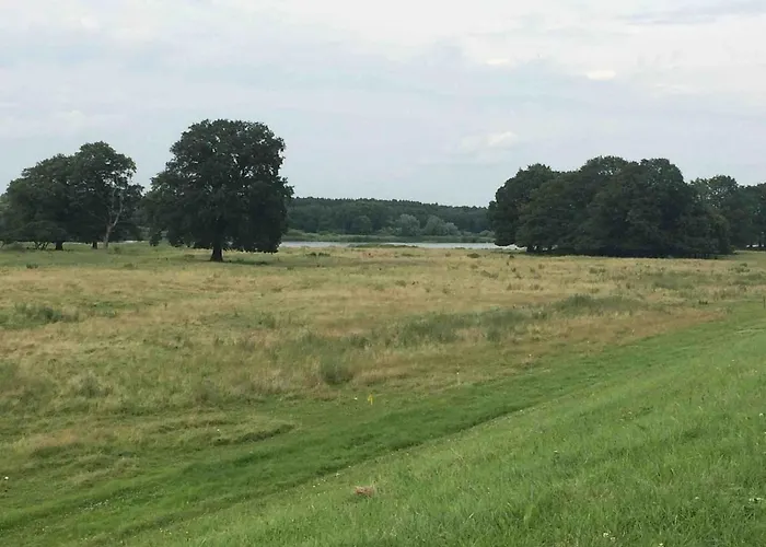 Gemuetliche Reetdachkate An Der Elbe *