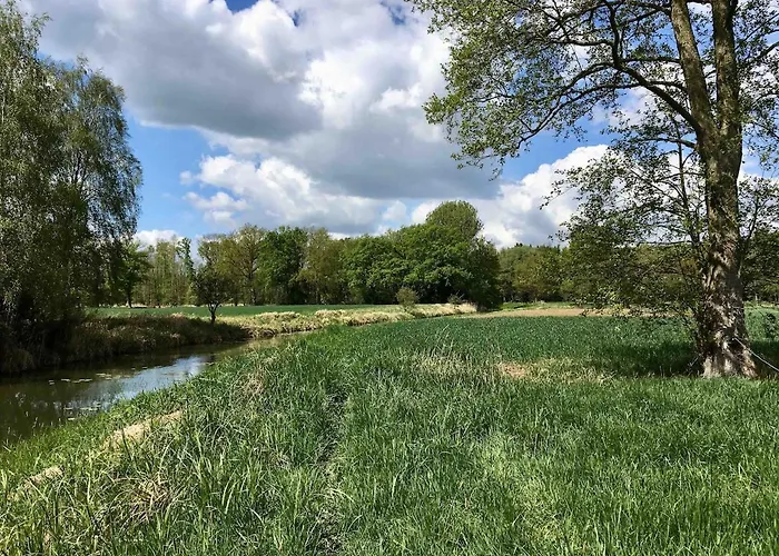 Gemuetliche Reetdachkate An Der Elbe * Hittbergen