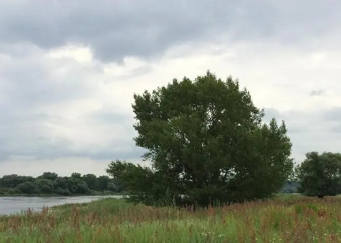 Gemuetliche Reetdachkate An Der Elbe Hittbergen
