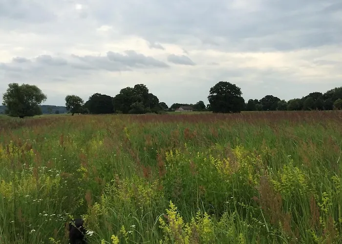 Gemuetliche Reetdachkate An Der Elbe Διαμέρισμα *