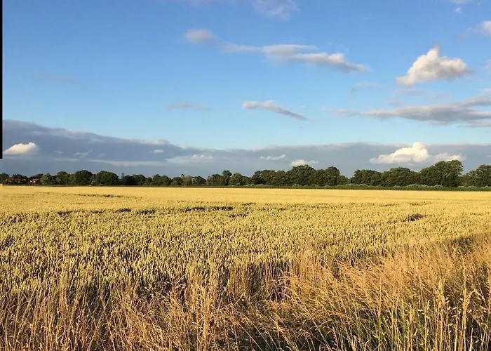 Gemuetliche Reetdachkate An Der Elbe Διαμέρισμα *