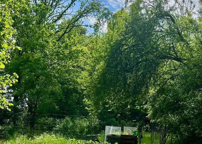 Gemuetliche Reetdachkate An Der Elbe